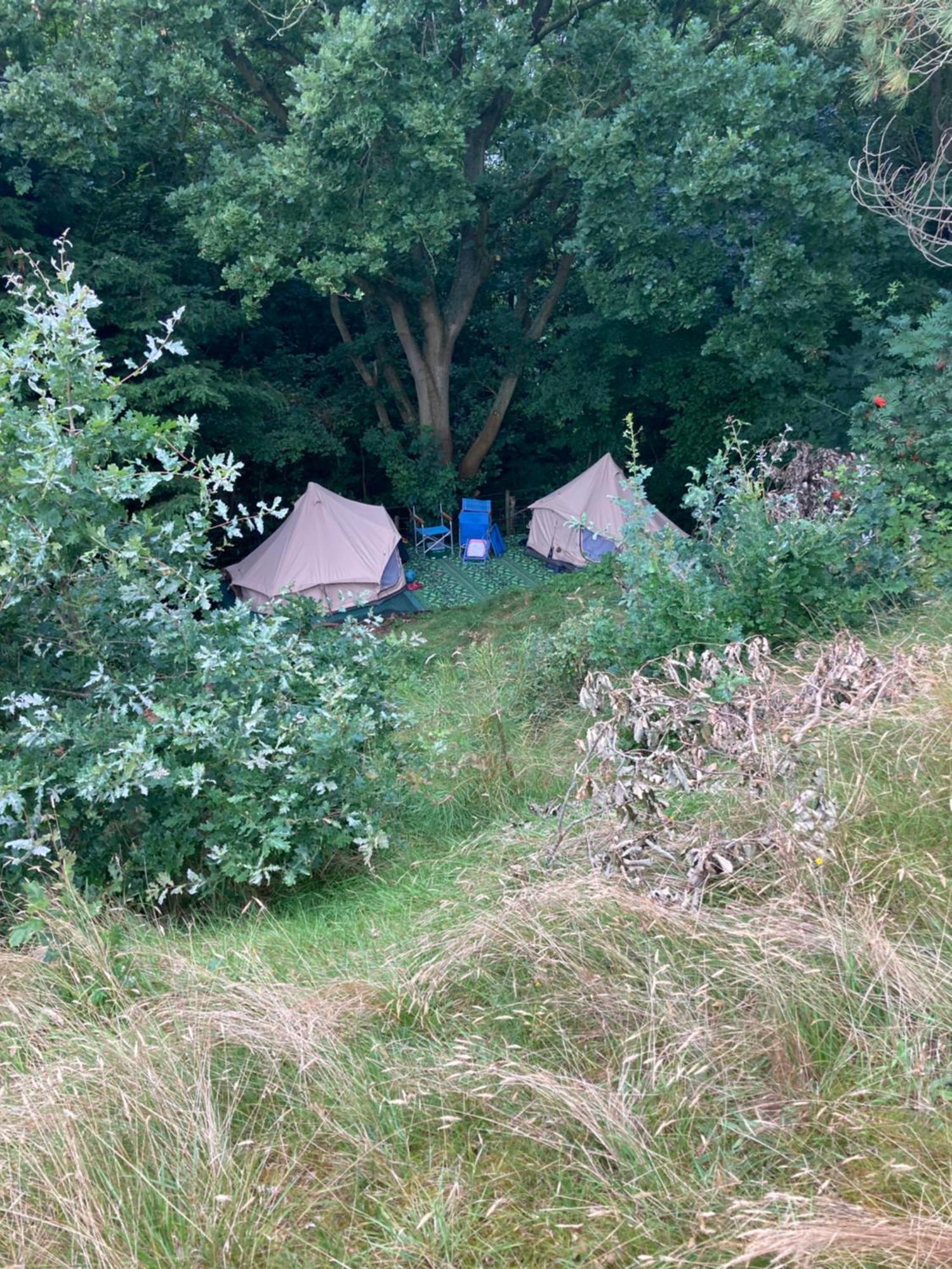 Hotel Rode Bell Achter Duin 't Horntje Esterno foto