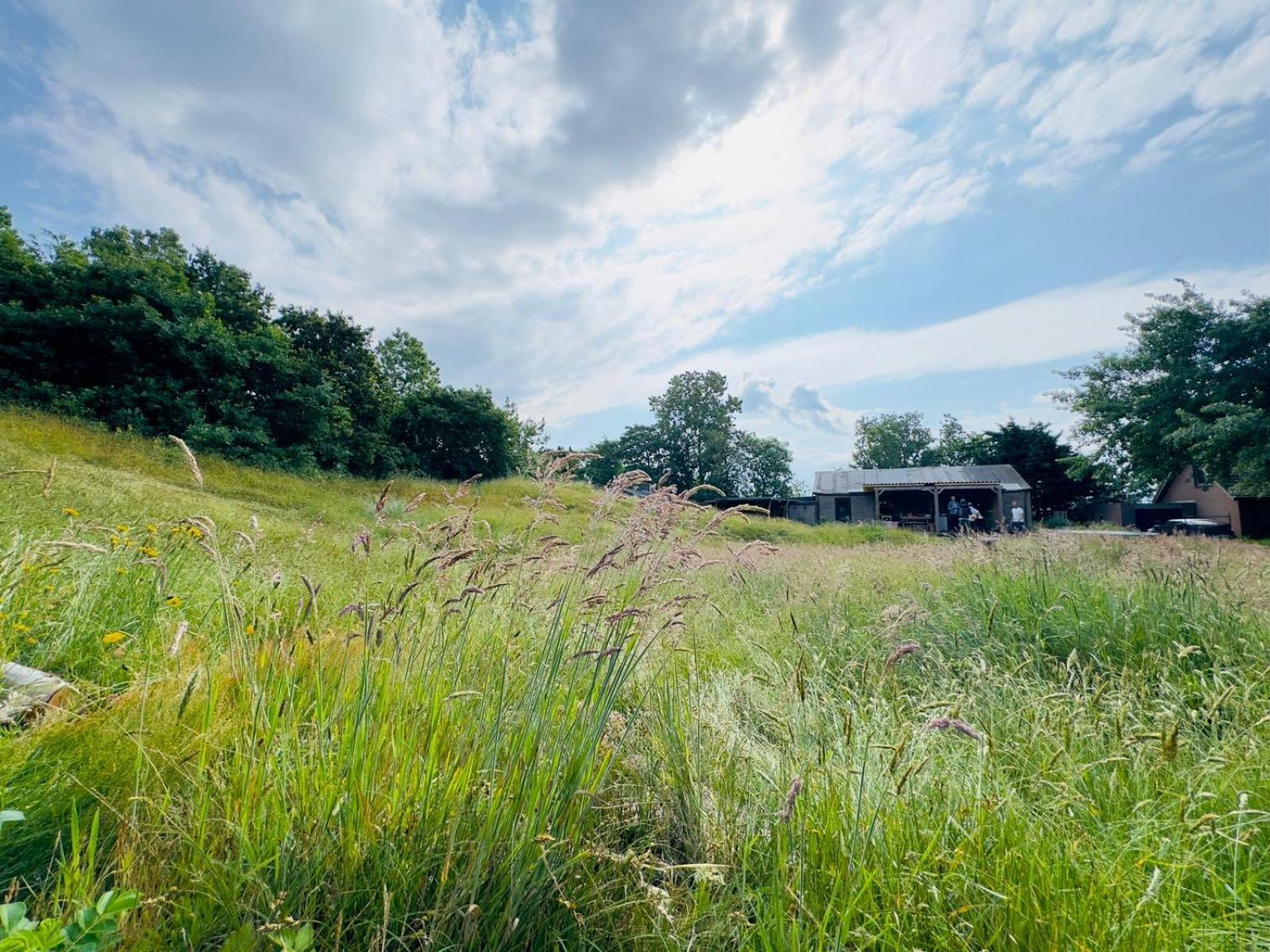 Hotel Rode Bell Achter Duin 't Horntje Esterno foto